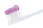 膏体