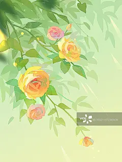清晨阳光下的黄色蔷薇正版高清图片下载-视觉中国VCG.COM