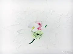 水彩---教程 - 高清图片，堆糖，美图壁纸兴趣社区