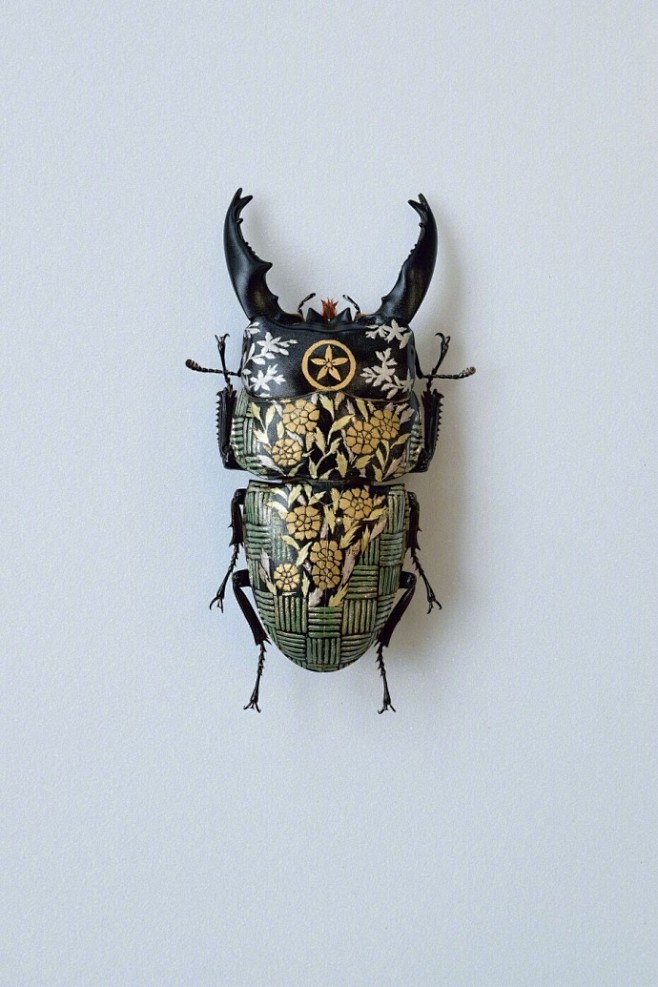 锹甲虫壳彩绘标本，日本艺术家Akihir...