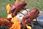德式香肠,火,格子烤肉,烟熏食品,牛排,热,烤的,食品,野餐,煤
