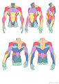 如何画出带肌肉动态
可以看一下这组示范图#大木画画速写打卡##速写##人体结构 # ​​​​