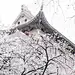 路吾悦