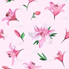 春天,绘画插图,百合花,粉色,花纹,粉色背景,轻的,贺卡,水彩画颜料,清新