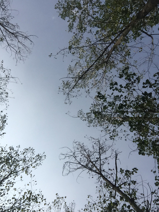 我愿意你在我身边
我想留在你身边