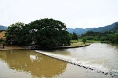 szdino2采集到云水谣：空山新雨后，