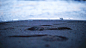 #GIF #cinemagraph