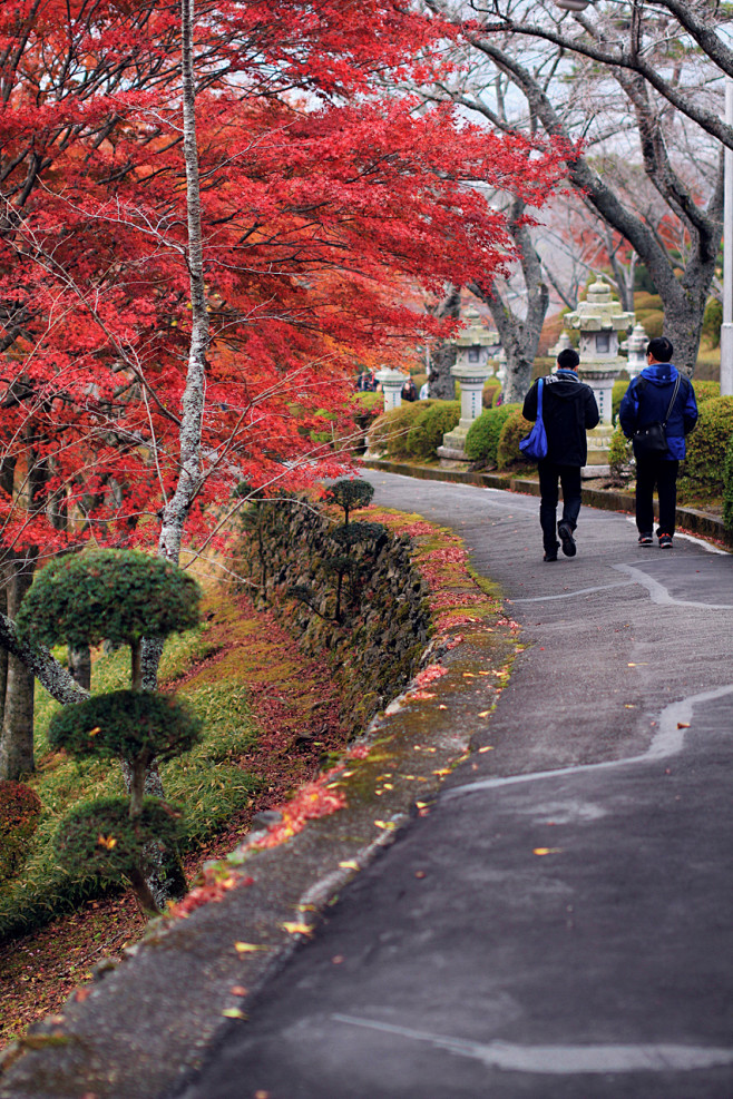 忘记呼吸，只因为京都的红叶。_途客们的旅...