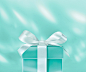 礼品指南 | Tiffany & Co. _Tiffany & Co. 蒂凡尼 _T2022216 