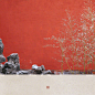 #2019年的第一场雪#想和你一起去故宫看雪... O绿洲 ​​​​
