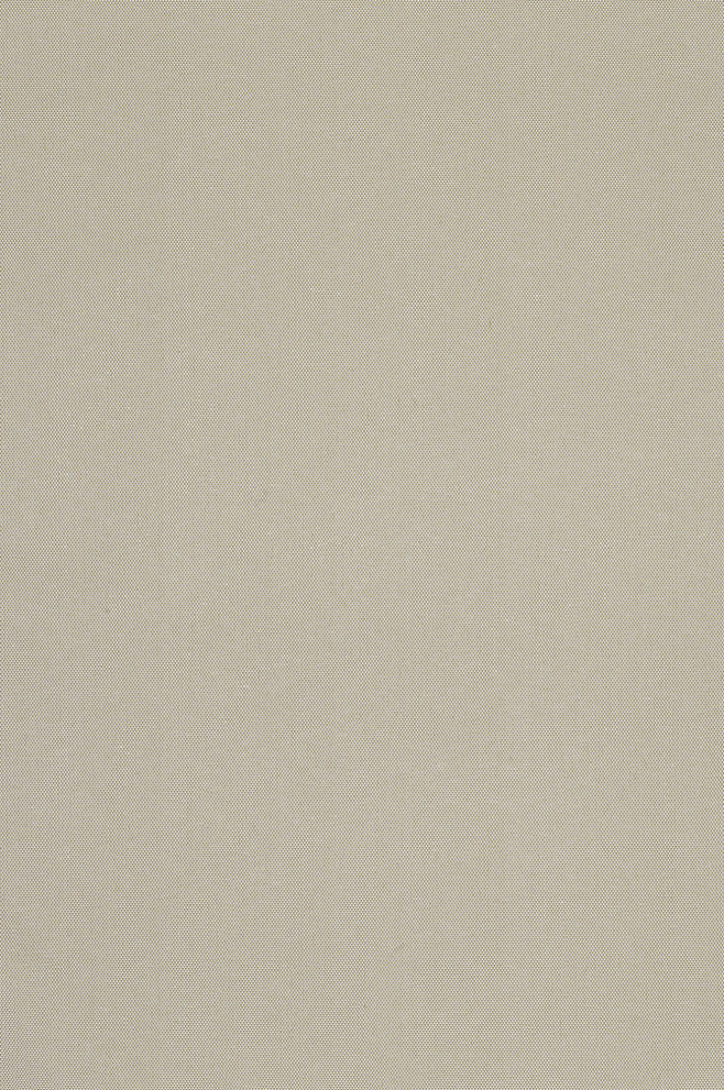 极品布料 (1001)