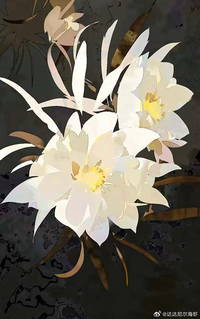 0060aZWJgy1hkwm86hvzfj30le0y77b8.jpg (770×1231)-花瓣网