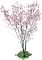 植物_0008_樱花树