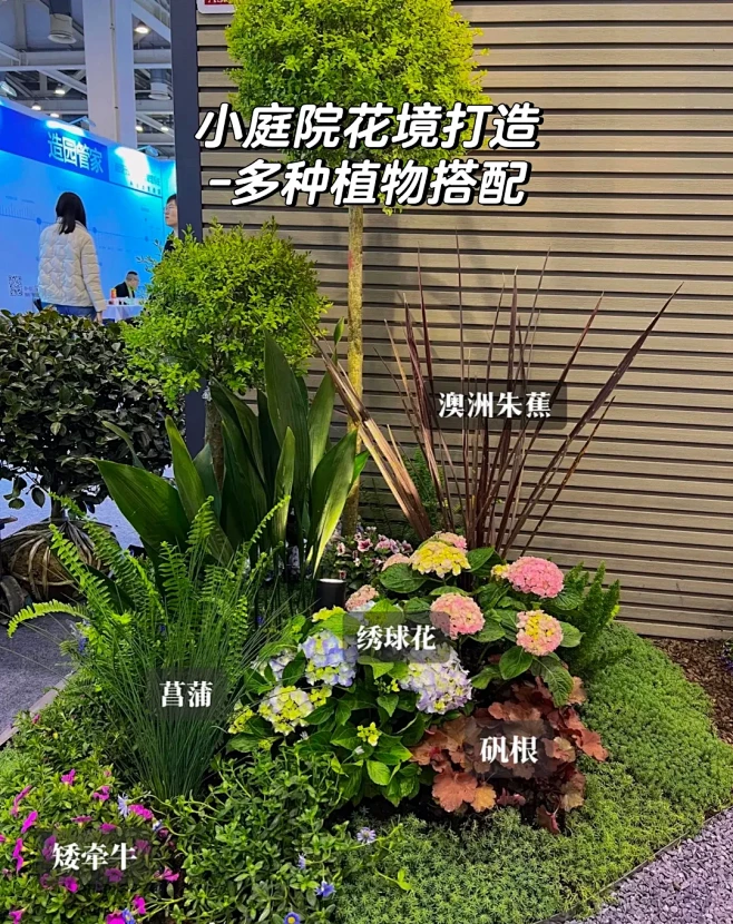 小庭院花境植物搭配 - 小红书-花瓣网