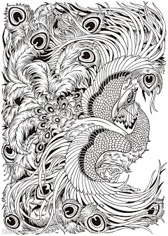 凤凰线稿