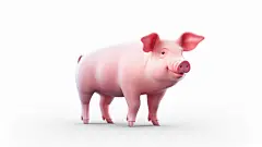 粉色卡通可爱小猪元素图片