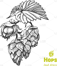 花瓣素材-动植物图片采集到绿树