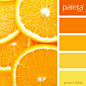 PALETA #00001 - #00050