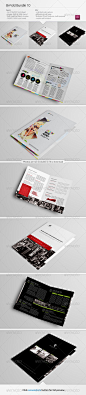 Bi-Fold包10 -企业宣传册