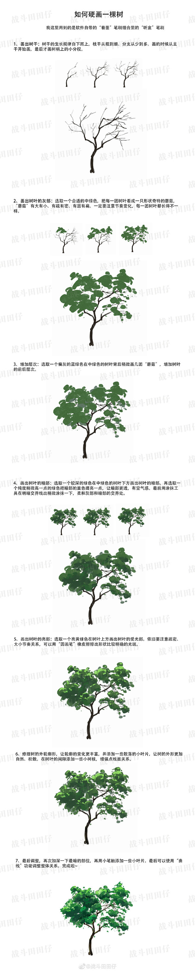 大家好～和@大触来了专栏 合作的树木绘制...