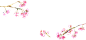 #オペラ花びら恋占い | OPERA（オペラ） : この春のあなたの恋は
「五分咲き」

おすすめのリップカラーは
甘さと強さを併せもつ、凛とした媚びないピンク
【LIP TINT 02 ピンク】

#オペラ花びら恋占い
#operacosmetics
#リップティント
