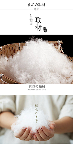 梦彤采集到羽绒详情