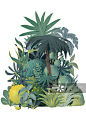 插画,热带的花,扁平化设计,植物,雨林图片素材下载_正版图片VCG211199162523 - VCG.COM