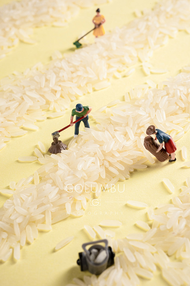 大米微距摄影 Rice Miniatur...