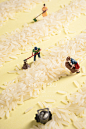 大米微距摄影 Rice Miniature Product Photography