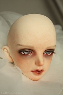 七月宝拉采集到BJD