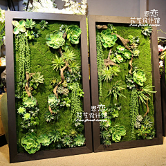 •俊風•采集到植物墙