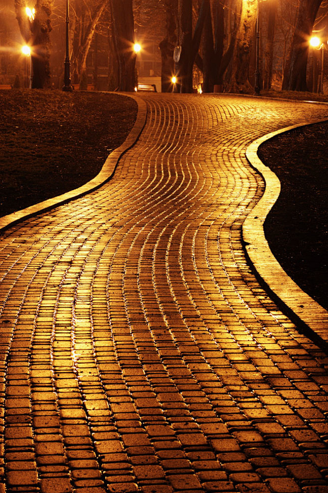 公园路面风景