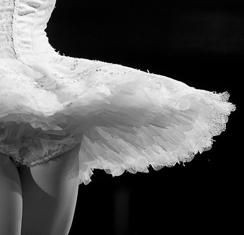 Profile of a tutu