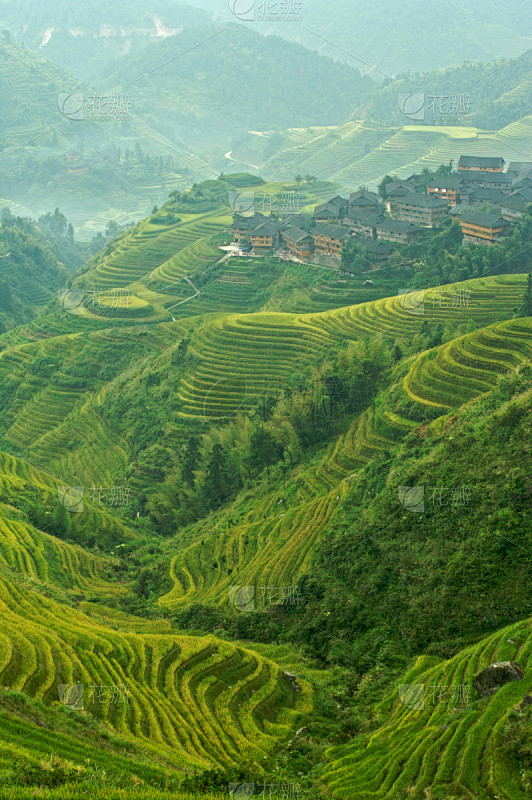 龙脊梯田,乡村,雾,早晨,在上面,龙胜,...