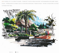 musy采集到手绘