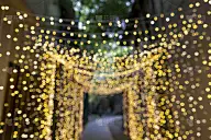 抽象的焦外成像背景