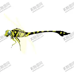 蜻蜓昆虫图片插画 【酷图网】昆虫,蜻蜓,手绘蜻蜓,蚱蜢,手绘蚱蜢,螳螂,手绘螳螂,手绘,手绘插画,插画,手绘蝴蝶,蝴蝶,手绘昆虫,红蜻蜓,蓝蜻蜓,白蜻蜓,紫蜻蜓,绿蜻蜓,黑蜻蜓,轻盈起落,蜻蜓点水,大蜻蜓,蜻蜓嬉戏,蜻蜓海报,蜻蜓图片,野外蜻蜓,大自然,益虫,生态,清新,唯美,浪漫,蜻蜓翅膀,蜻蜓头部,蜻蜓身躯,一只蜻蜓