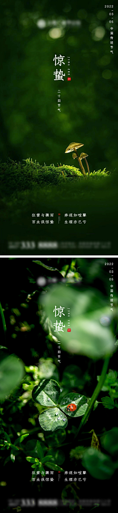肉食动物i采集到二十四节气风景