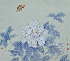 vic兔不知采集到花