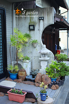 伊东小三黑采集到水景和盆景