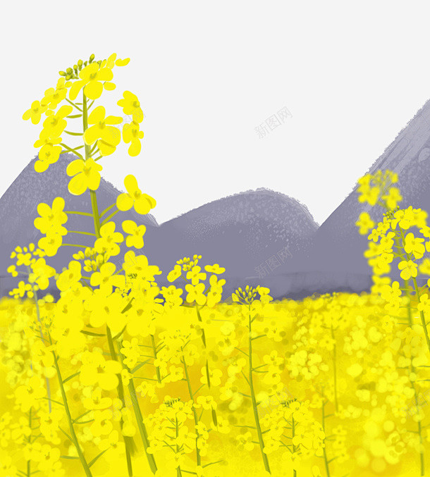 手绘春天油菜花插画 免费下载 页面网页 平面电商 创意素材