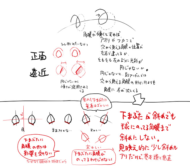 结构、眼睛、正面、透视