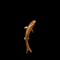 Pisces Convex Gold Resin Fish Wall Decor