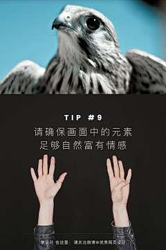 Power·采集到1
