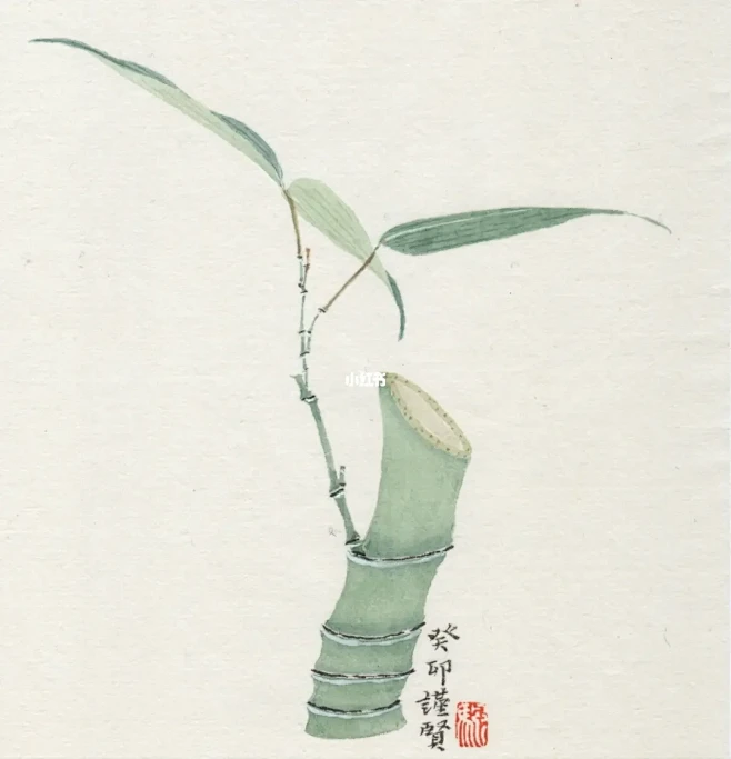 国画 | 竹