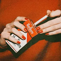 手 手控 手势