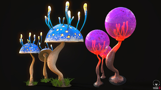 Fantastic Mushrooms,...