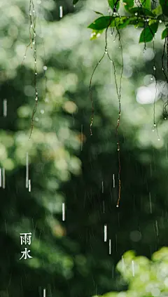   雨水