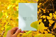 我手里拿着一张空白卡片的框架模型，上面装饰着被阳光照亮的黄色银杏叶