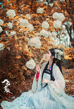 荠苨花采集到汉服